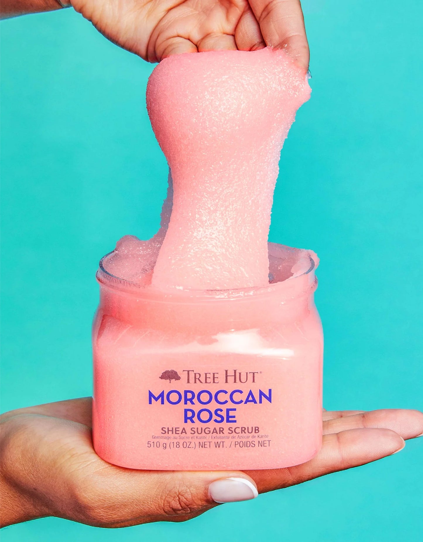 TREE HUT Moroccan Rose