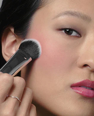 HausLabs Dual-Ended Multi-Purpose Brush